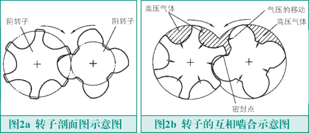 螺桿式壓縮機轉子故障與檢測